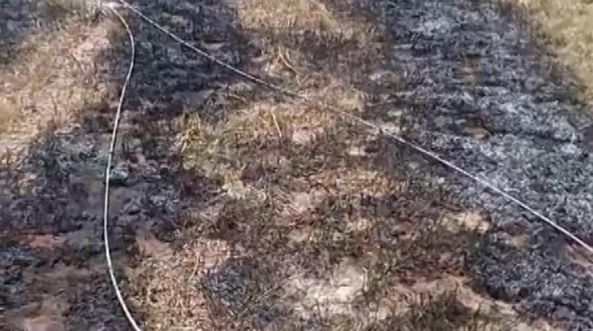 Konya’da kopan elektrik telleri tarlada yangın çıkardı