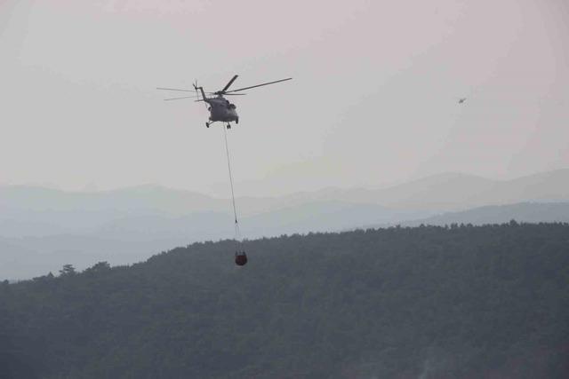 259132bf-4049-4b9e-b70d-795e9f5f6c4b