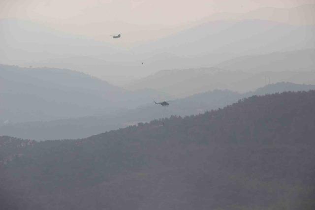 45ab53e4-c811-4bf0-8c6b-e8b32dd70853