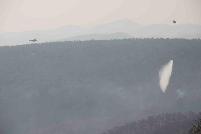 61685adc-98dc-4551-b6ff-685f4d9c499d