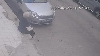 Farenin ısırdığı kadın hastanelik oldu! Korku dolu anlar kamerada