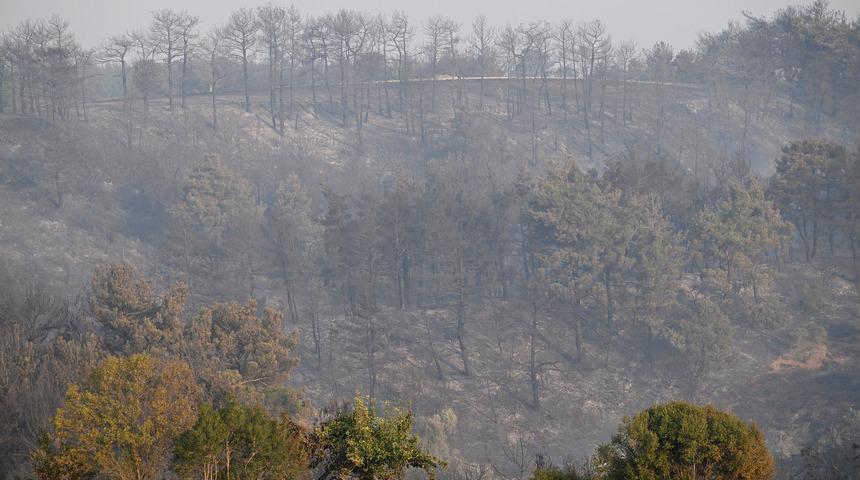 Çanakkale'de orman yangınını söndürme çalışmaları devam ediyor
