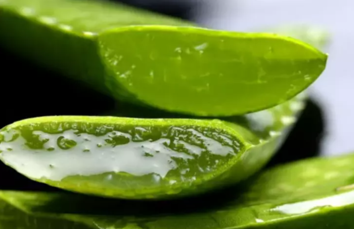 ALOE VERA