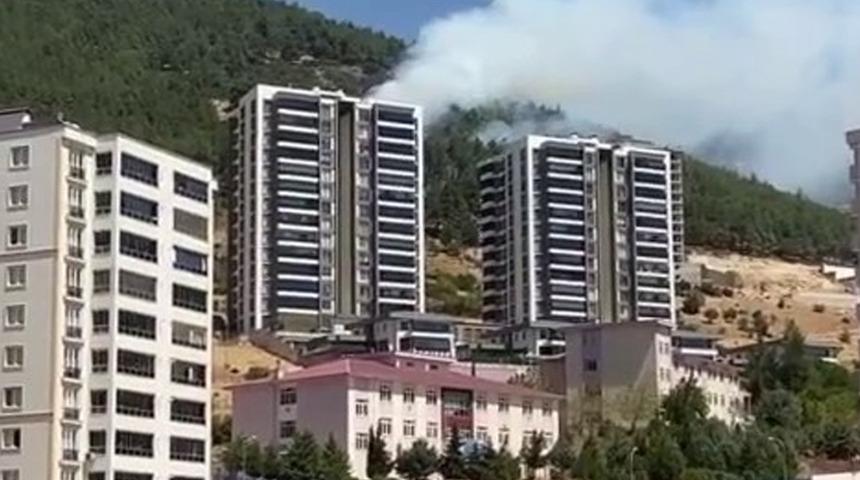 SON DAKİKA | Kahramanmaraş’ta orman yangını! Yerleşim yerlerinin hemen yanı başında... 1 kişi gözaltına alındı