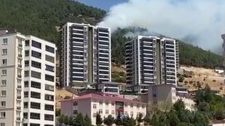 SON DAKİKA | Kahramanmaraş’ta orman yangını! Yerleşim yerlerinin hemen yanı başında... 1 kişi gözaltına alındı