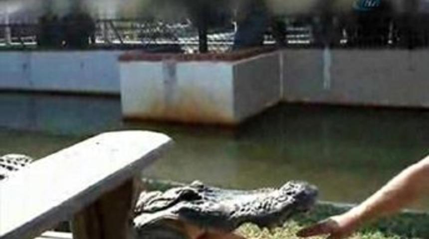 Timsahla şaka olmaz