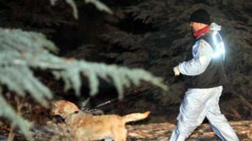 G&ouml;lbaşı'ndaki aramalarda 2 adet lav silahı bulundu