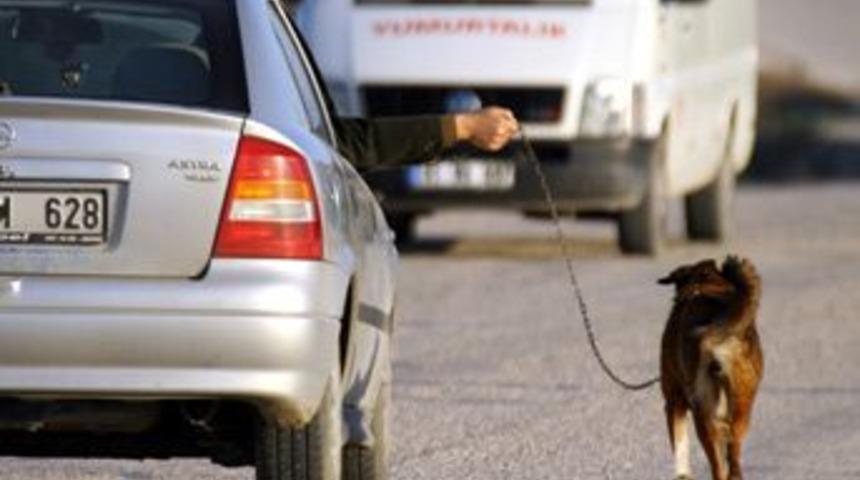 "Lusi" büyük bir faciayı önledi
