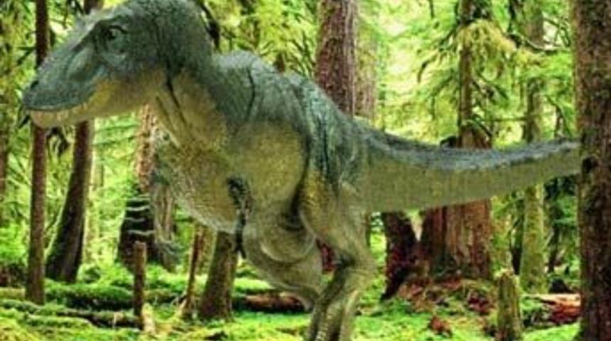 Tyrannosaurus bug&uuml;nk&uuml; kuşların atası