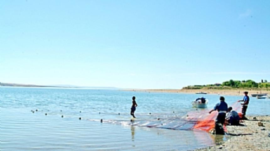 D&uuml;nyanın en b&uuml;y&uuml;k yayın balıkları Kaman'da