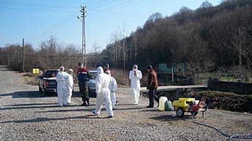 Bartın'da kuş gribi uyarıları