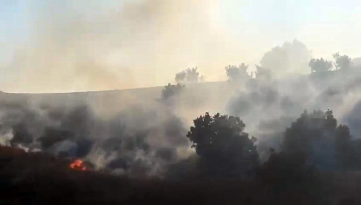 Son dakika: Diyarbakır Ergani'de orman yangını! Hızla yayıldı