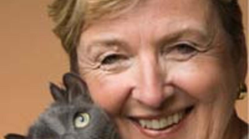 D&ouml;rt kulaklı kedi g&ouml;renleri şaşkına &ccedil;eviriyor