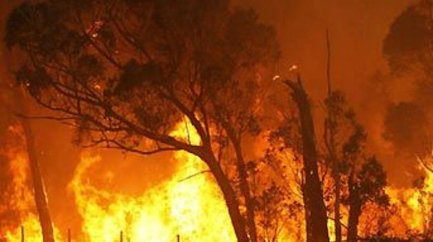 Alevler 171 kişiyi yuttu