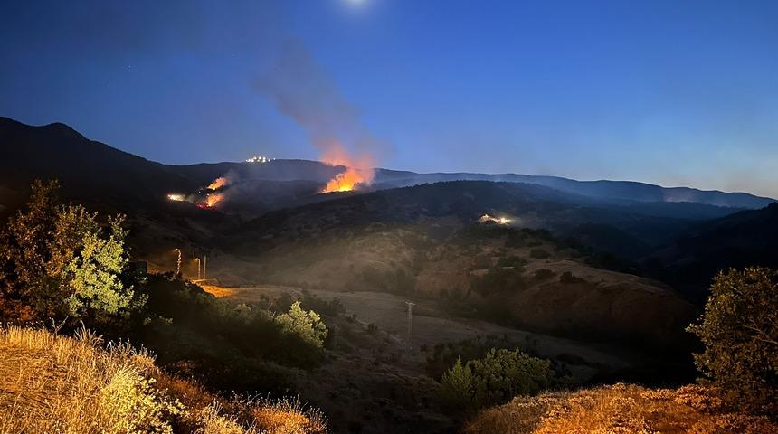 Bingöl'de çıkan orman yangını kontrol altına alındı