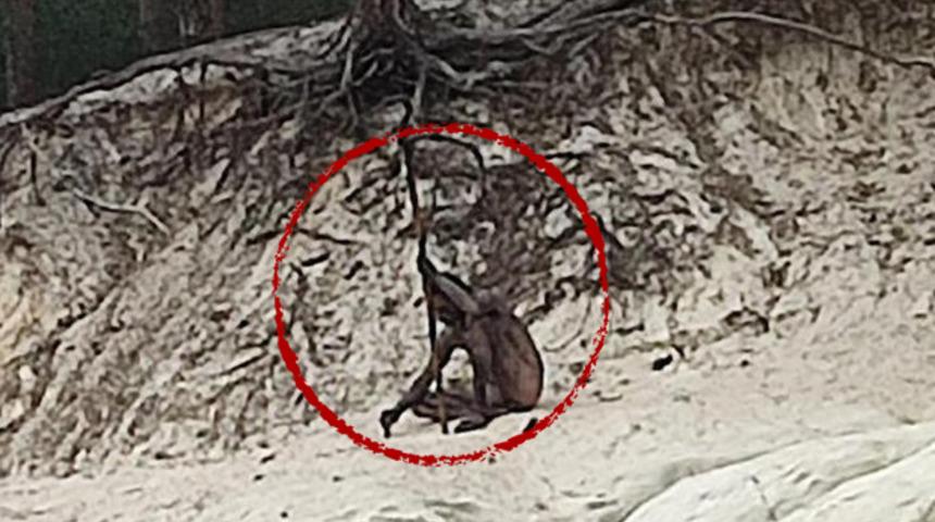 'Kurt adam' paniği... Gözlerine inanamadılar! Elinde mızrak, çırılçıplak bir halde...