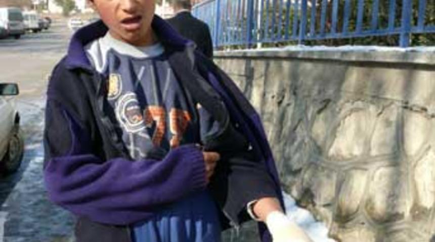 Kastamonu'da pitbull vahşeti