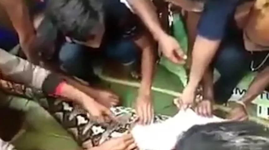 Evinin bahçesinden aniden kayboldu! Bakmadıkları yer kalmadı... 8 metrelik yılanın midesinde bulundu