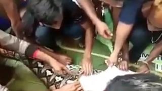 Evinin bahçesinden aniden kayboldu! Bakmadıkları yer kalmadı... 8 metrelik yılanın midesinde bulundu