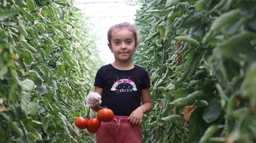 Sivas&rsquo;ta yapılamaz denileni yaptı, şimdi taleplere yetişmekte zorlanıyor