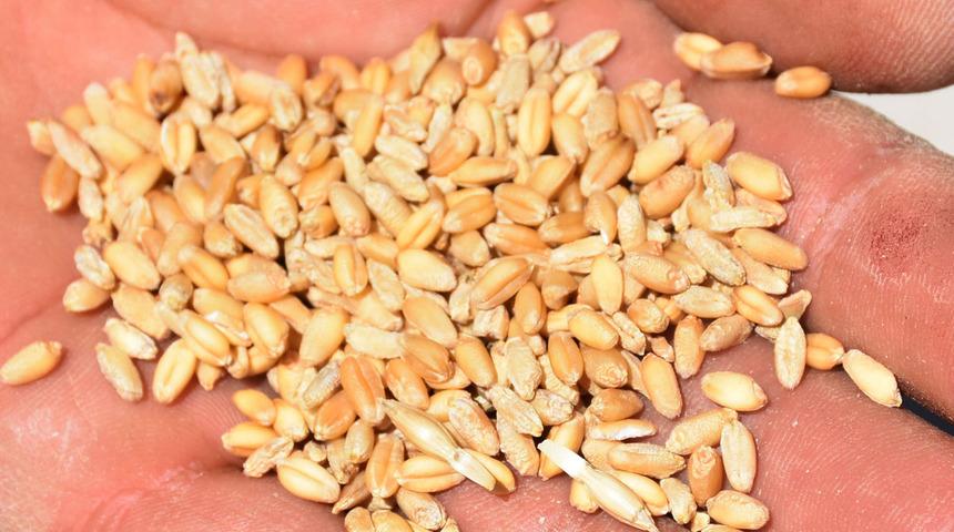 O tehlikeye dikkat çekti: 'Sarı pas' hastalığı! 'Hiç alışmadığımız, beklemediğimiz yönde...'