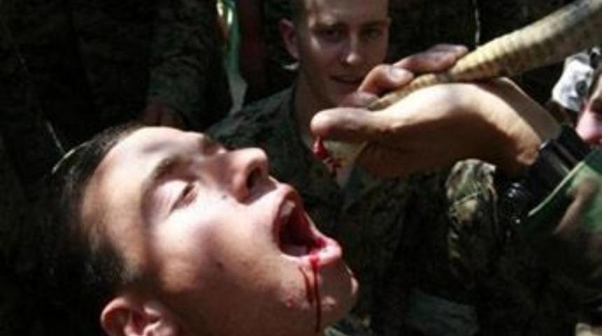 Hayatta kalma eğitimi