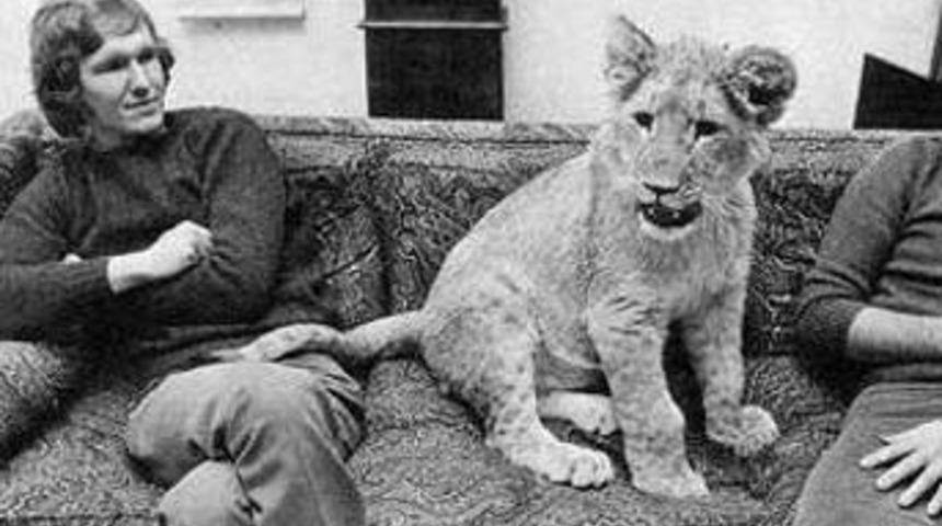 Sevginin en g&uuml;zel &ouml;rneği