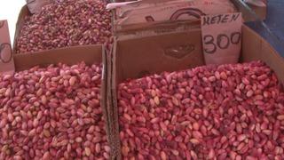 Fıstığın yanına yaklaşılmıyor! Fiyatı cep yakıyor: Geçen seneye göre yüzde 100’den fazla yükseldi