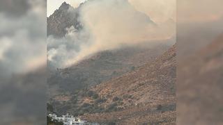 Bodrum'daki orman yangını 3 saatte kontrol altına alındı