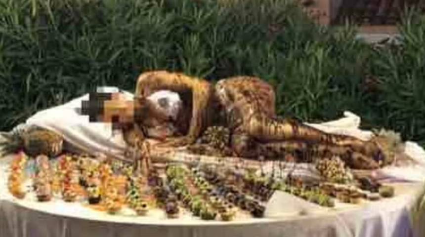 Otel müşterileri açık büfeyi görünce şoke oldular! Çikolatayla kaplanarak masaya uzanan kadın tepkilere neden oldu