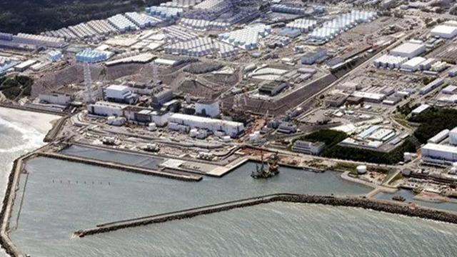 Japonya'nın flaş hamlesi sonrası çevre ve canlı yaşamı katliamı gerçekleşmesi bekleniyordu! Açıklamalar peş peşe geldi... 