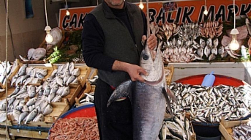 Marmara'da 2 metrelik kılı&ccedil; balığı yakalandı   
