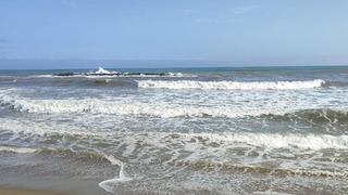 Sakarya'nın 3 ilçesinde denize girmek yasaklandı