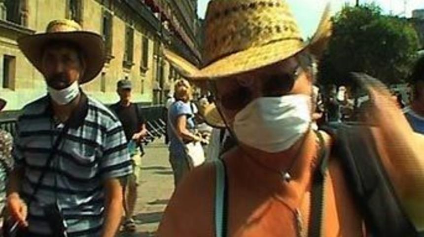 WHO'dan yeni domuz gribi raporu