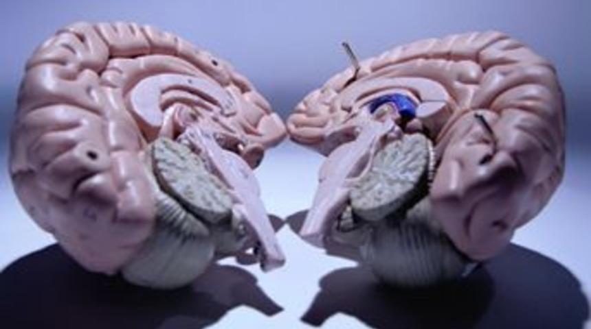 Beyin t&uuml;m&ouml;r&uuml;nde devrim!