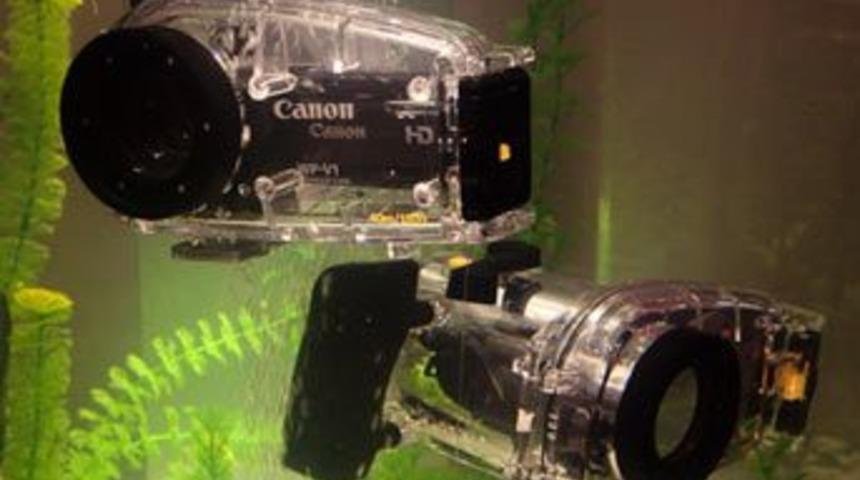 Doğaya meydan okuyan kameralar