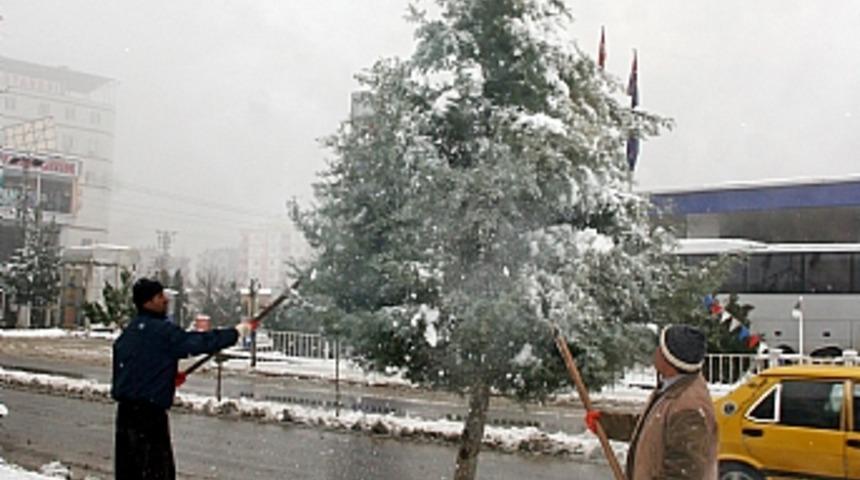 Siirt'te eğitim kara takıldı  