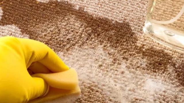 Halı ve koltuk lekelerini tek seferde çıkarıyor! Daha önce hiç duymadığınız leke çıkarma yöntemi