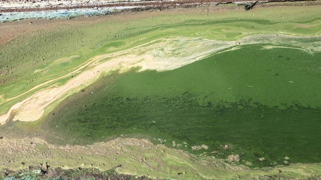 Rengi yeşile döndü! Vatandaşlar tedirgin oldu: Çok pis bir koku var