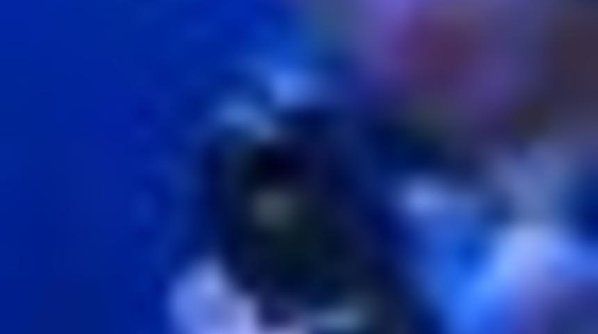 K&ouml;y muhtarı dehşet sa&ccedil;tı