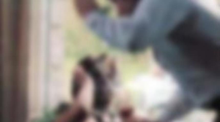 D&ouml;ve d&ouml;ve &ouml;ld&uuml;rd&uuml;ler!