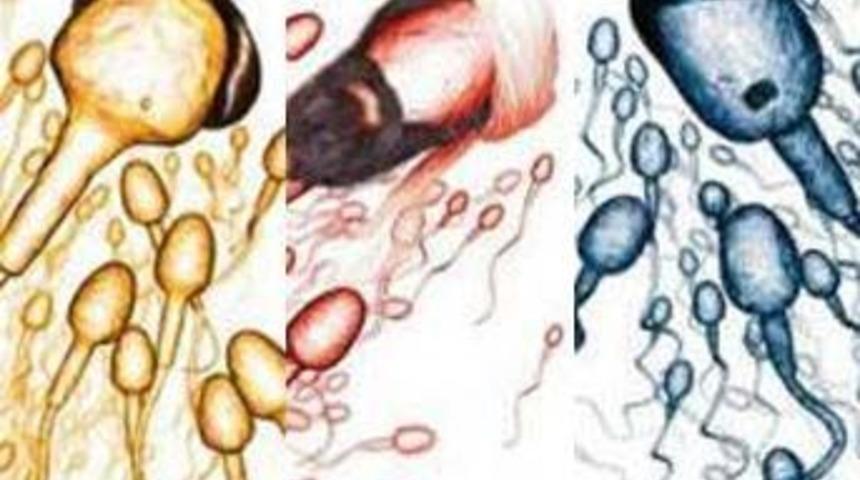 &Ccedil;in'i ayağa kaldıran reklam