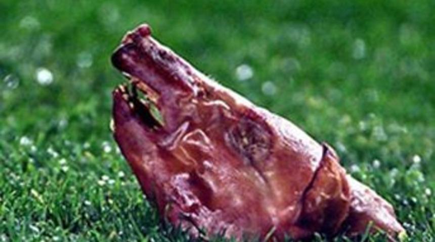 Sahalara atılan yabancı maddeler