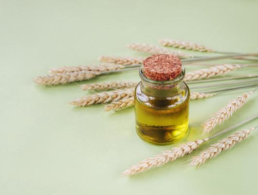 Buğday yağının cilde faydaları nelerdir? 	