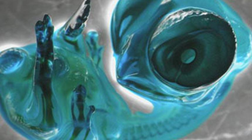 Yaşamın en k&uuml;&ccedil;&uuml;k par&ccedil;acıkları