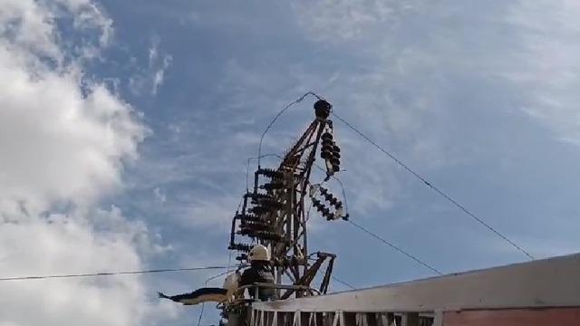 Yüksek gerilim hattında asılı kalan leyleği itfaiye kurtardı