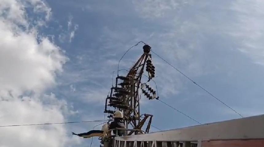 Yüksek gerilim hattında asılı kalan leyleği itfaiye kurtardı