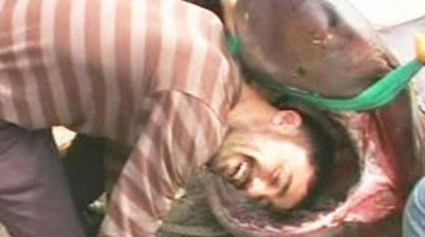 5 metrelik k&ouml;pek balığı yakalandı!