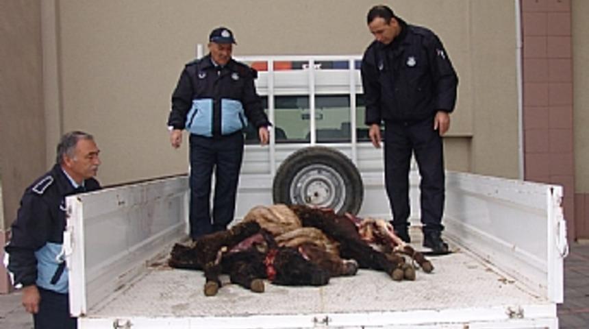 Eşek etini yedireceklerdi