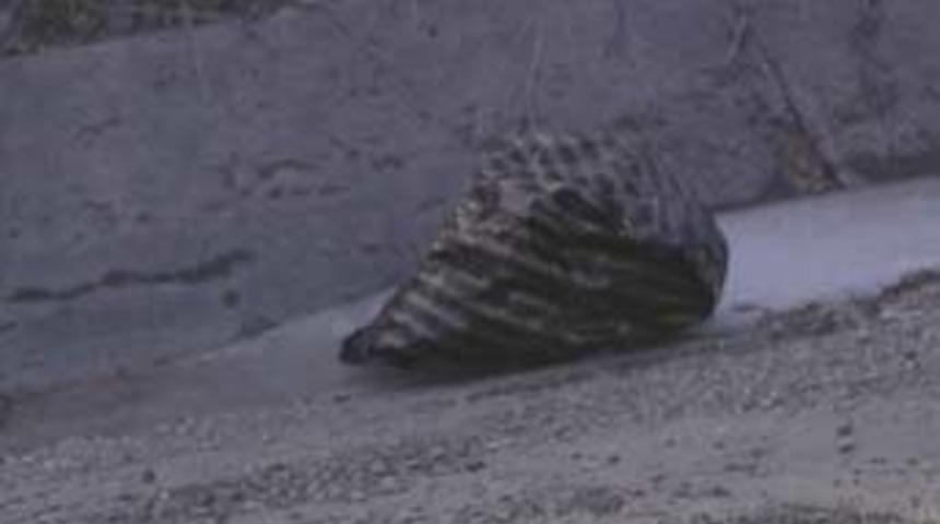 Hatay'da 7.5 kilo patlayıcı bulundu